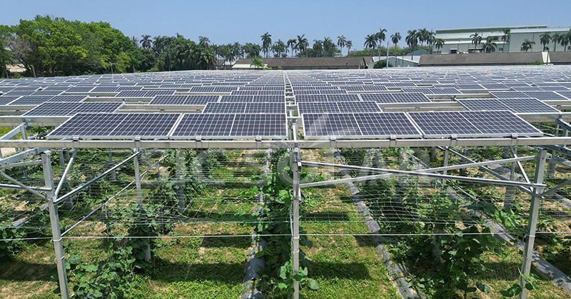 একটি সৌর খামারের আদর্শ আকার অন্বেষণ করা: 2024 সালে সর্বশেষ দৃষ্টিকোণ